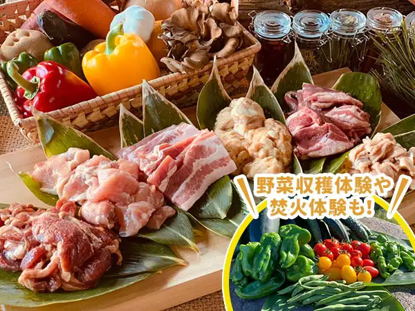 バーベキュー(食材の一例)