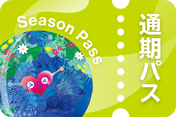 通期パス イメージ