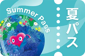 夏パス イメージ