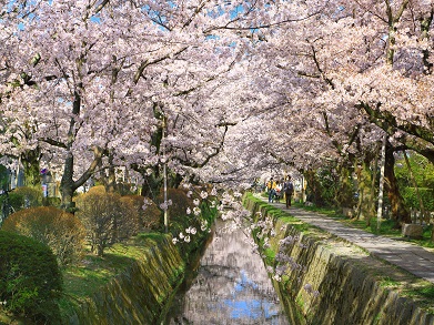 お花見におすすめの宿