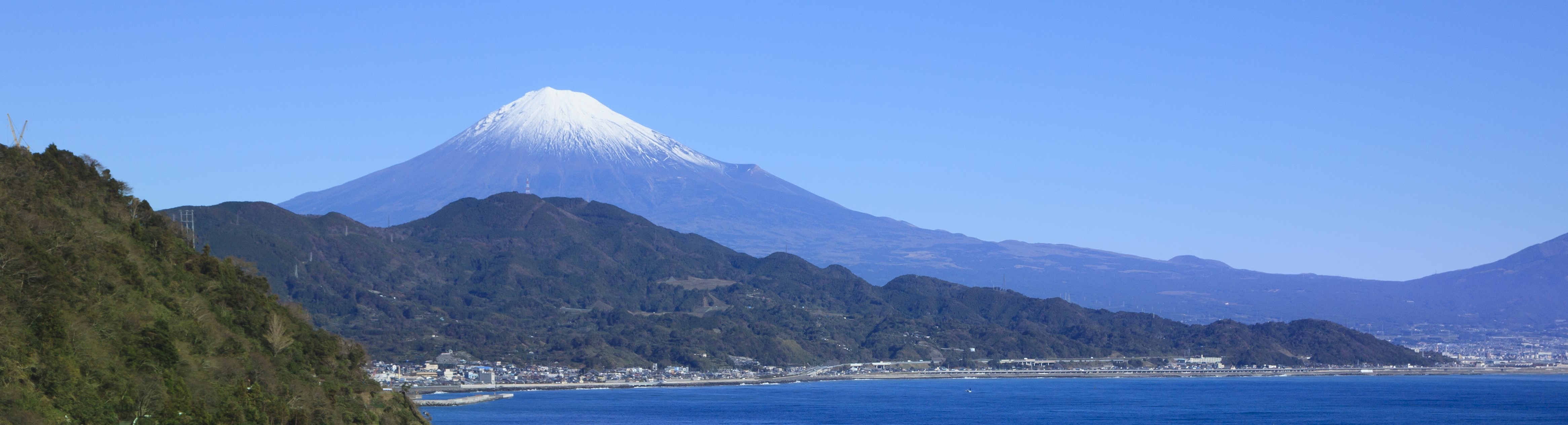 【大阪-静岡】新幹線で行くパック・ツアー