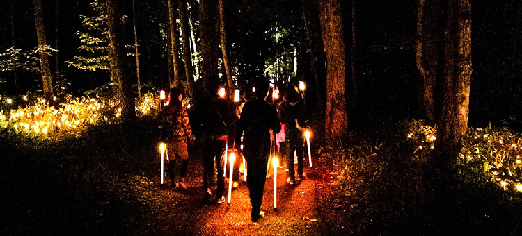 阿寒の森ナイトウォーク・カムイルミナで夜の森を歩く参加者