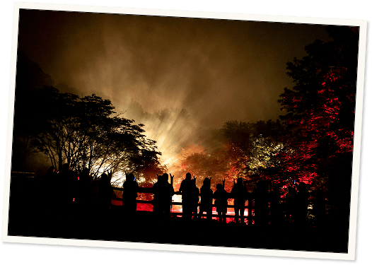 阿寒摩周国立公園の森を舞台にしたプロジェクションマッピング