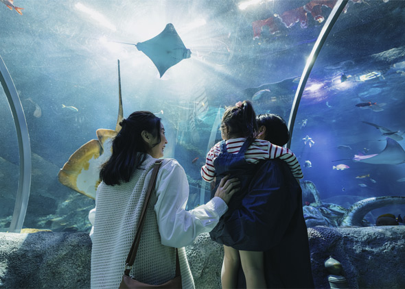 りゅうぐうじょう