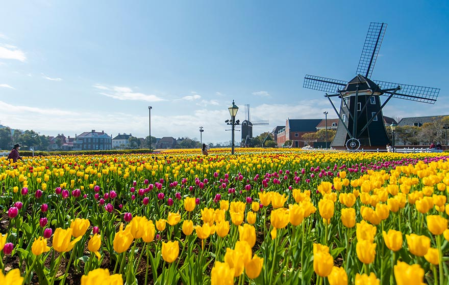 フラワーセレブレーション