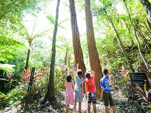かりゆしの森トレッキング