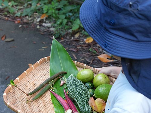 暮らしに触れる「沖縄郷(さと) 時間」