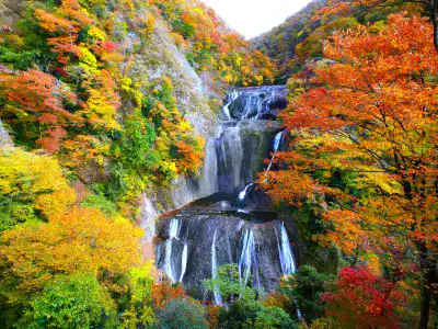 女子旅におすすめのエリア｜茨城