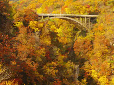 女子旅におすすめのエリア｜宮城