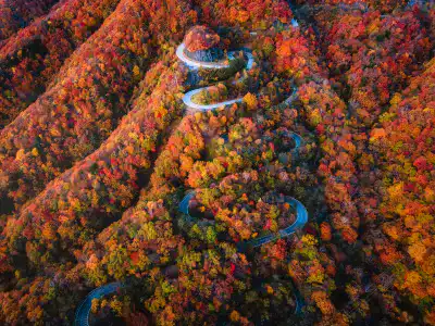 女子旅におすすめのエリア｜日光