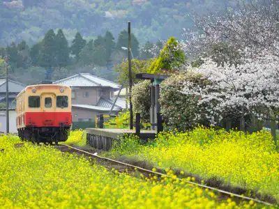 女子旅におすすめのエリア｜房総