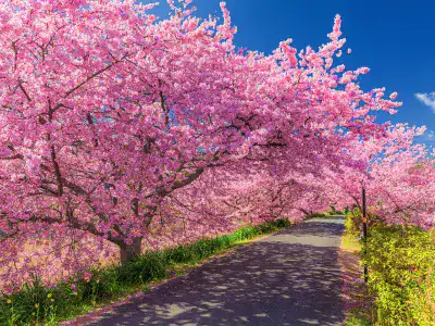 女子旅におすすめのエリア｜伊豆