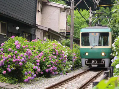 女子旅におすすめのエリア｜鎌倉
