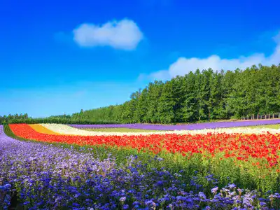 女子旅におすすめのエリア｜北海道