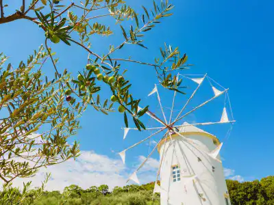 女子旅におすすめのエリア｜小豆島