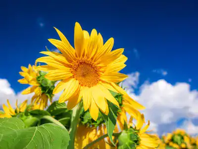 女子旅におすすめのエリア｜山梨