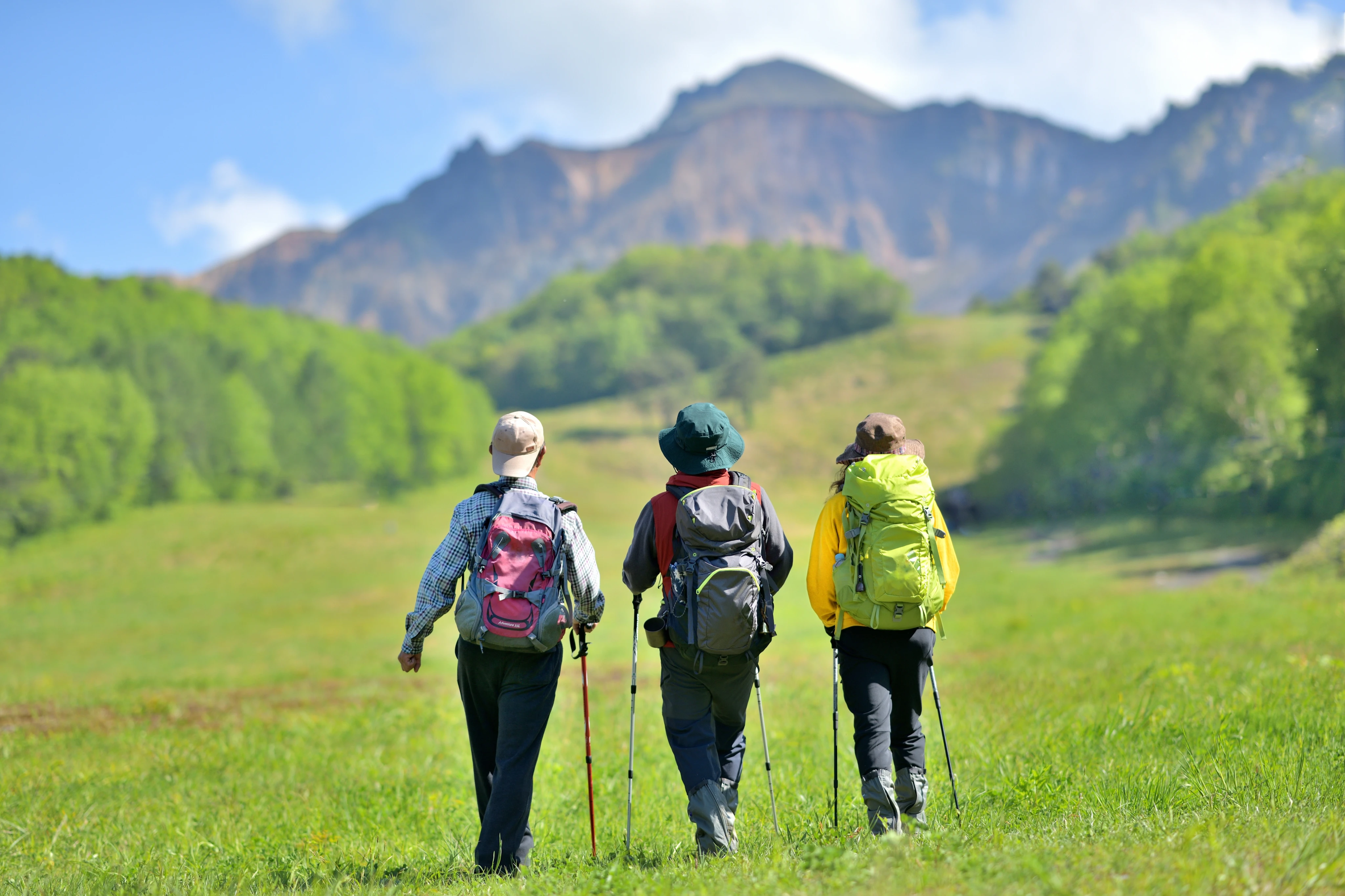 初夏のトレッキング・高原を歩くハイカー