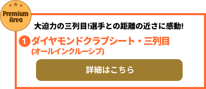 ダイヤモンドクラブシート・三列目