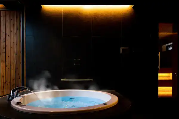 客室内ジェットバス（一例）