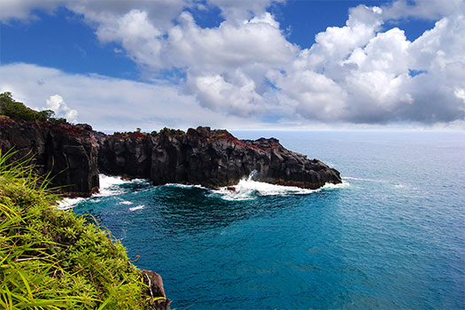 城ヶ崎海岸 ⾨脇吊橋