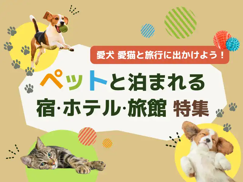 ペットと泊まれる宿・ホテル・旅館特集