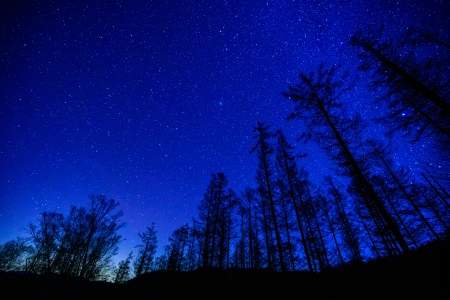 長野県阿智村 日本一の星空