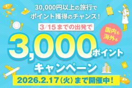 3000ポイントキャンペーン