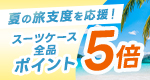 �y�X�[�c�P�[�X�S�i�|�C���g�T�{�z
