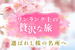 お花見
