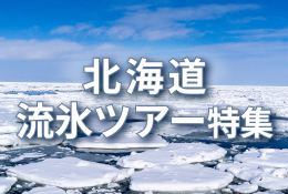 北海道流氷ツアー特集