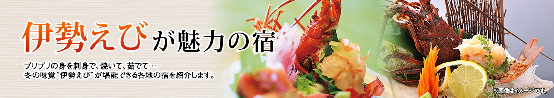 希望の条件でホテルのおすすめのプランが選べます。伊勢海老が美味しい旅館・ホテル・宿予約はJTB！<br><span style="font-size:1.2rem; ">※キーワードでの検索結果を表示しているため、内容が一部異なる場合がございます。詳細は、プラン詳細ページをご確認ください。また、季節などにより提供内容が変更になる場合や別注文・追加料金等がかかる場合があります。</span>