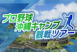プロ野球沖縄キャンプ観戦ツアー