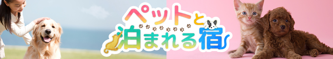 ペット対応可 ペットと泊まれる宿 東海の宿泊予約 Jtb