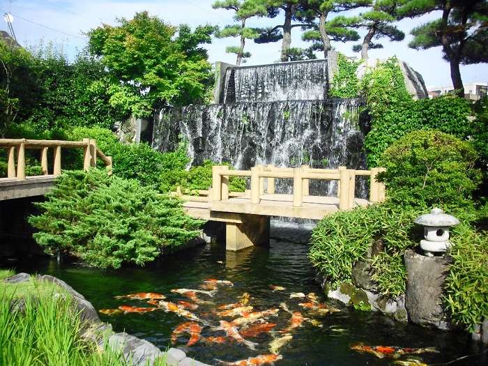 ����J�s�ь�̗��̃C���[�W