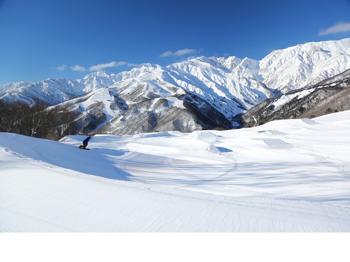 ���n��x�X�m�[�t�B�[���h