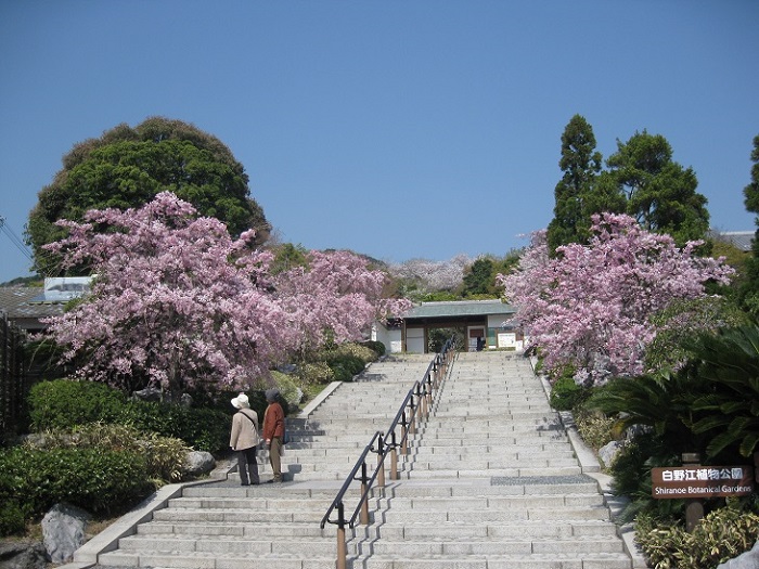 ����]�A�������i�N�ԃp�X�|�[�g�j�̃C���[�W