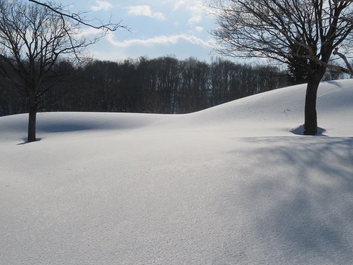 �����쉷��X�L�[��̃C���[�W