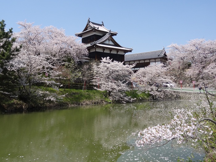 �S�R�隬 �ǎ���E�ƒǎ��