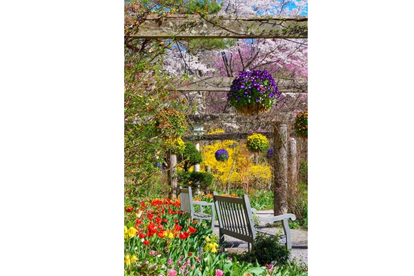 ���ȍ����o���N�� �C���O���b�V�� �K�[�f��