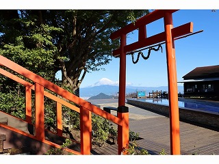 �ɓ��p�m���}�p�[�N