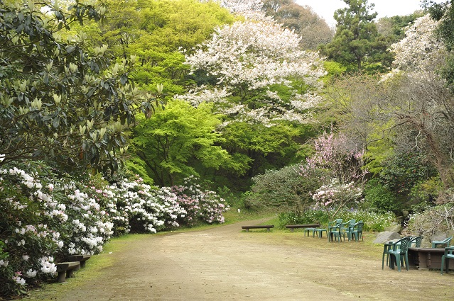 ����]�A�������i�N�ԃp�X�|�[�g�j�̃C���[�W