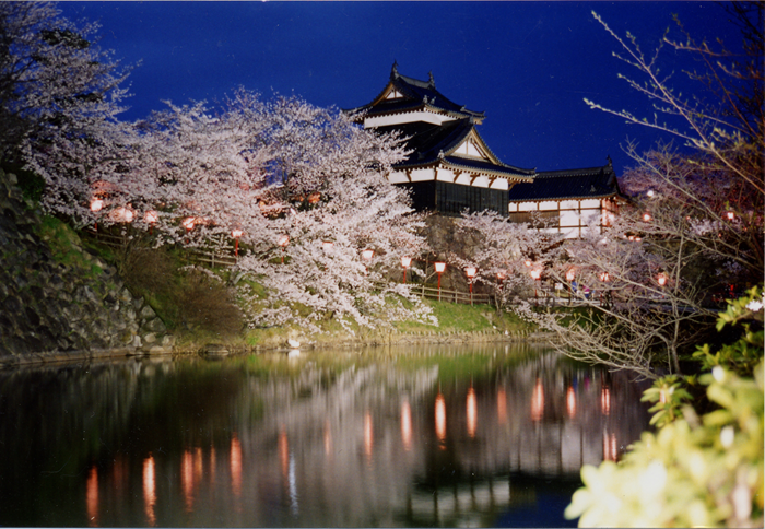 �S�R�隬 �ǎ���E�ƒǎ��̖�i