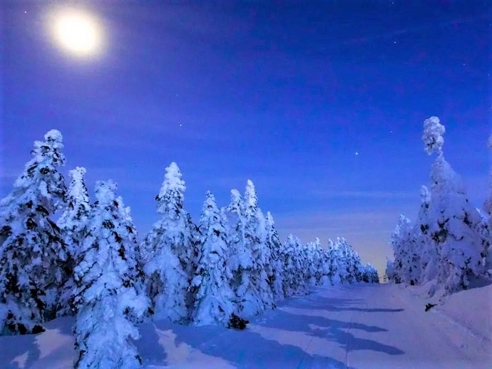 ���X�c�A�[