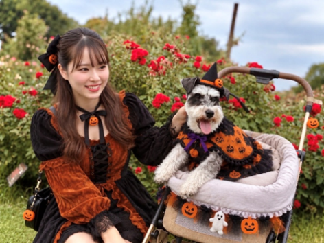 �����o����