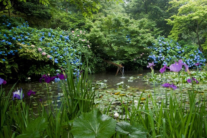 ����]�A�������i�N�ԃp�X�|�[�g�j�̃C���[�W