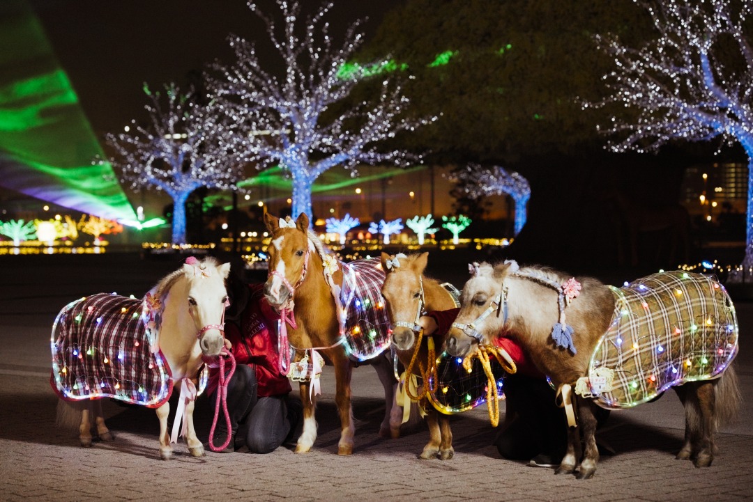 �������K�C���~�i��䋣�n��j�̃C���[�W