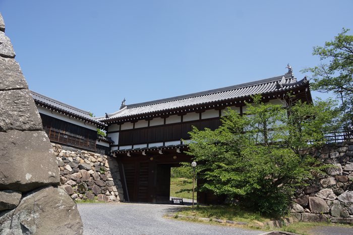 �S�R�隬 �ǎ��