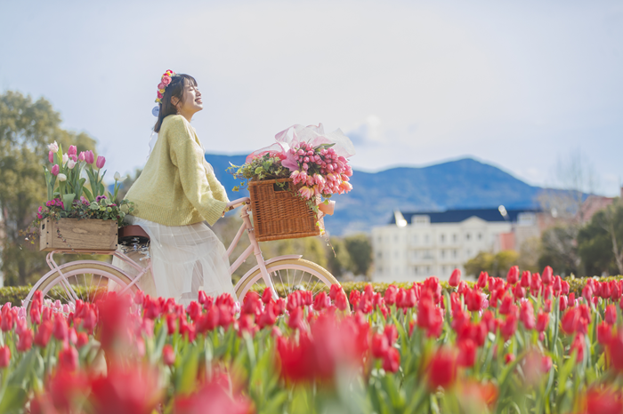 �n�E�X�e���{�X