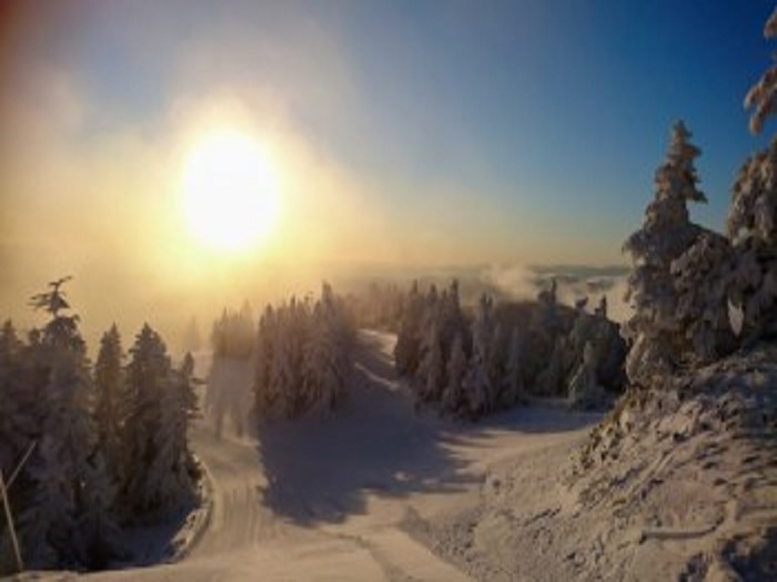 �a���X�L�[����̏o