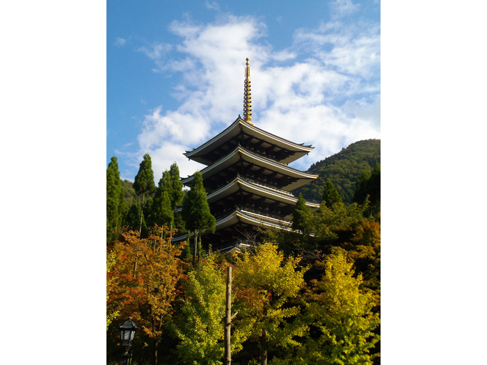 �z�O�啧�̃C���[�W